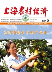 上海農(nóng)村經(jīng)濟(jì)